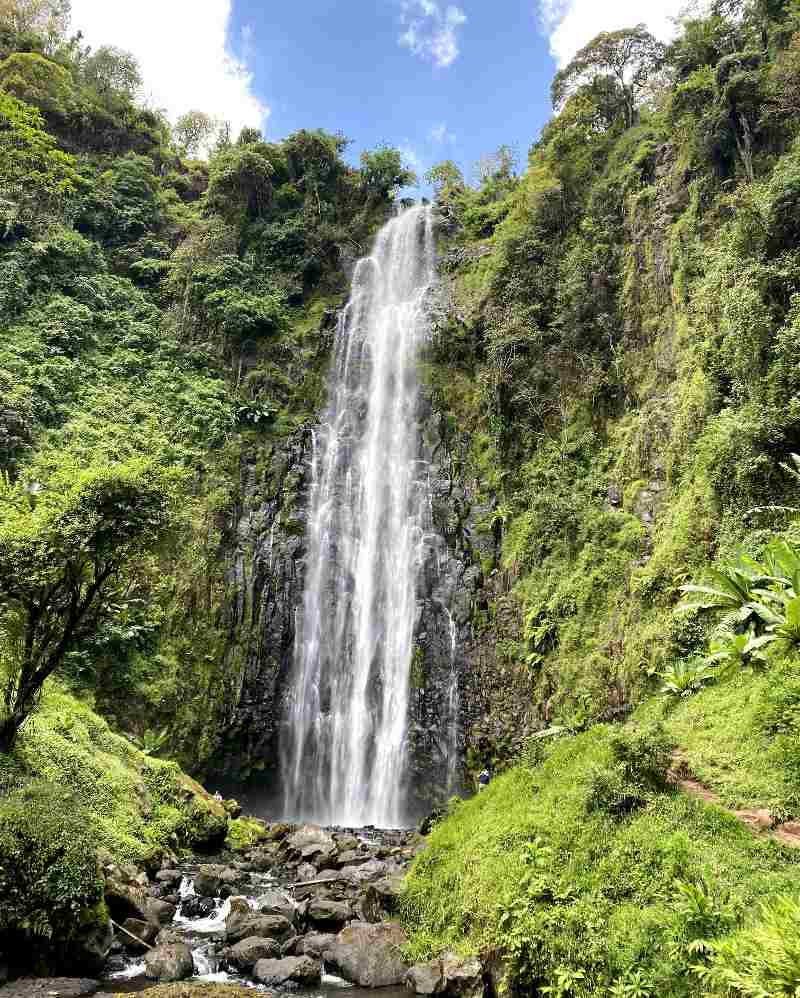 Cascada durante el viaje a Tanzania