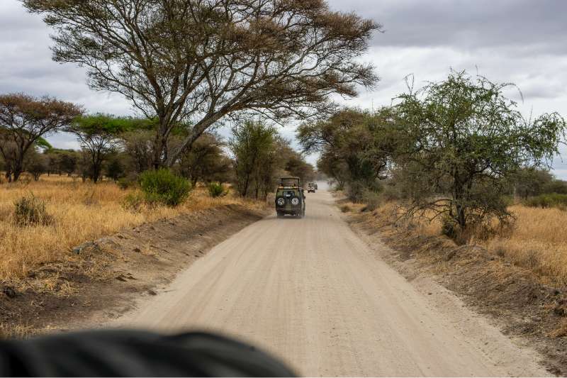 Safari en este viaje alternativo a Tanzania