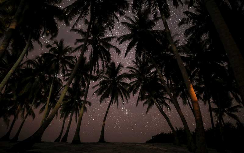 maldivas estrellas noche
