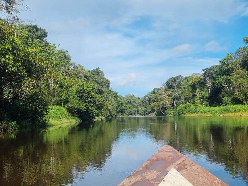 selva-amazónica-río