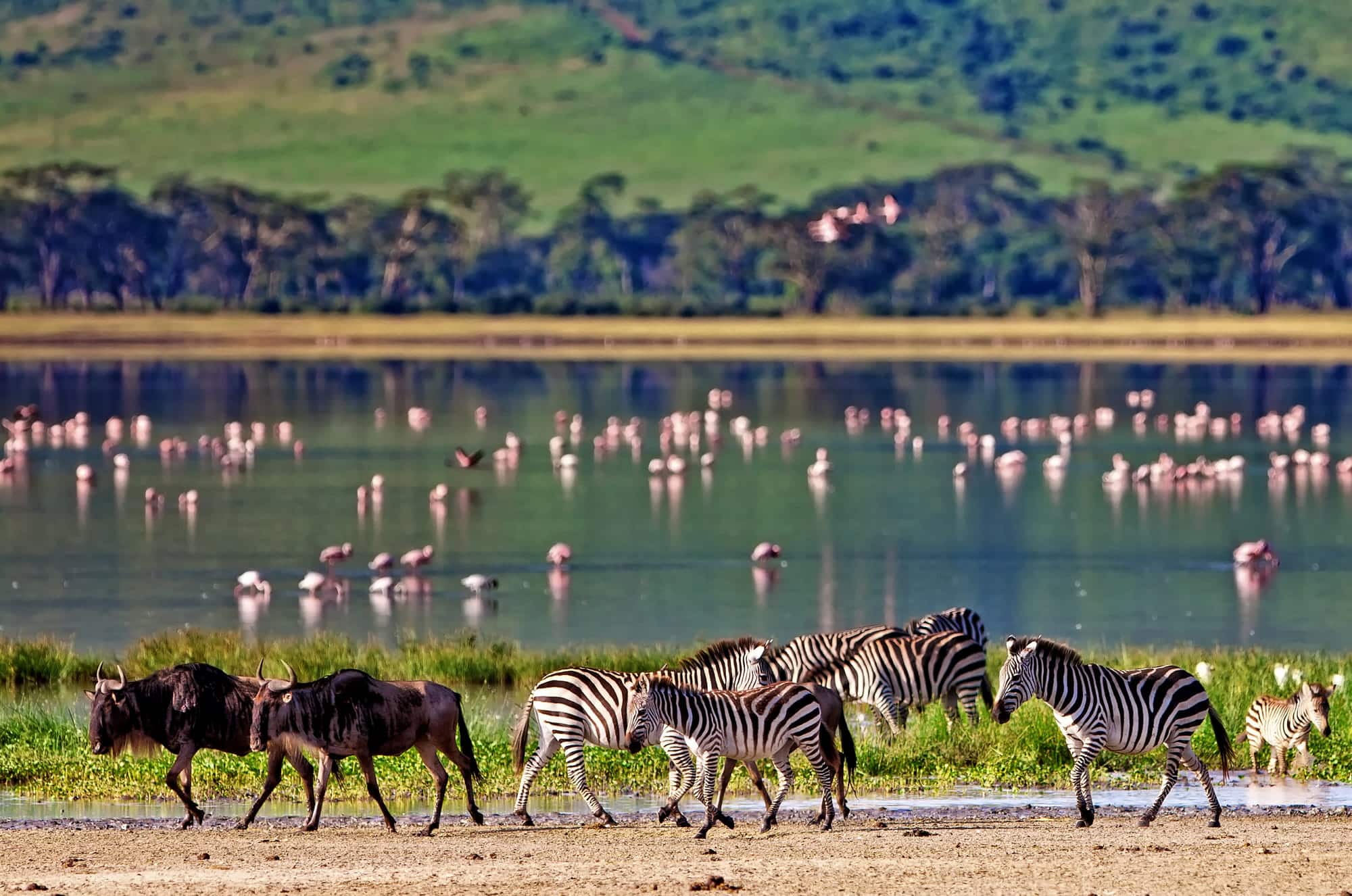 Viaje organizado a Tanzania