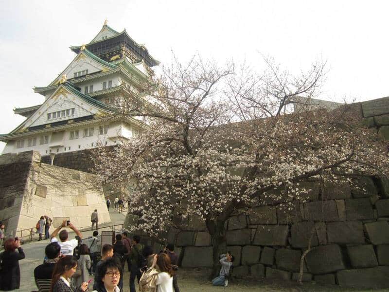 Viaje a Japón