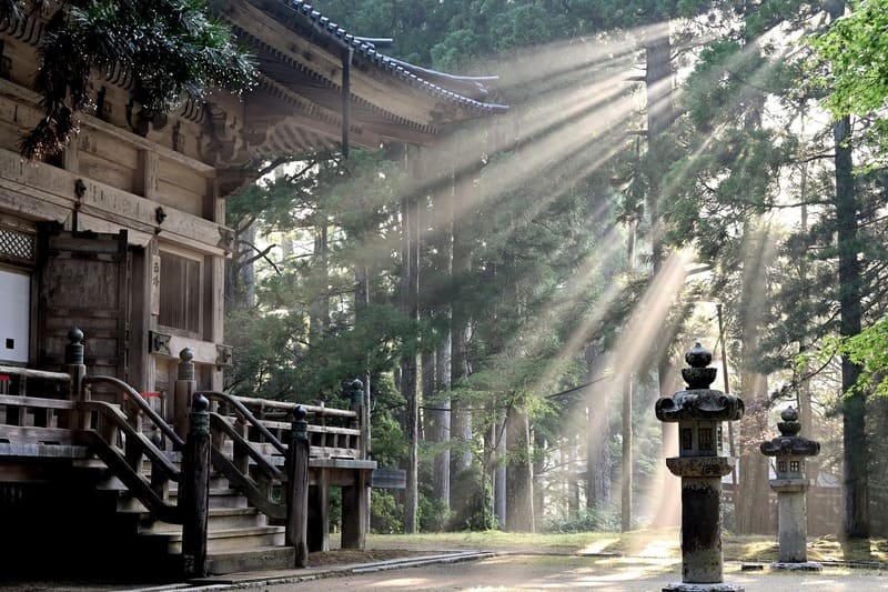 sun rays 7387131 1920 1