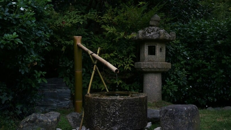 uliana-sova-LF0M66b92ys-unsplash Viaje a Japón